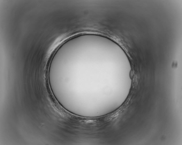 X0000090760151200707201101
