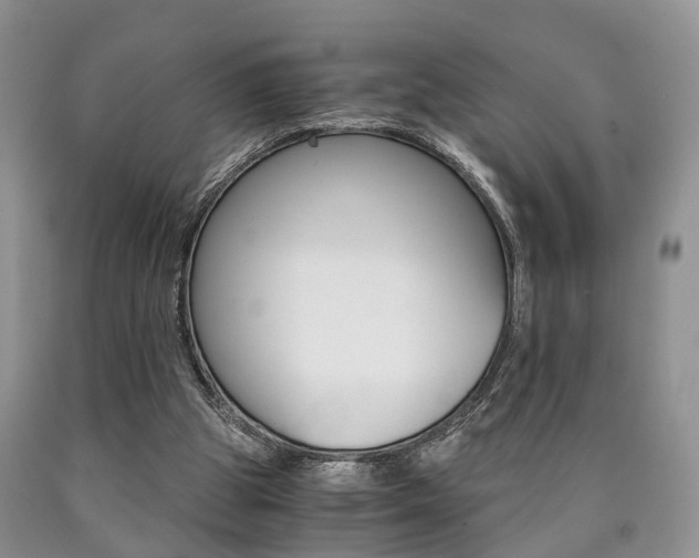 X0000090760153200707201101