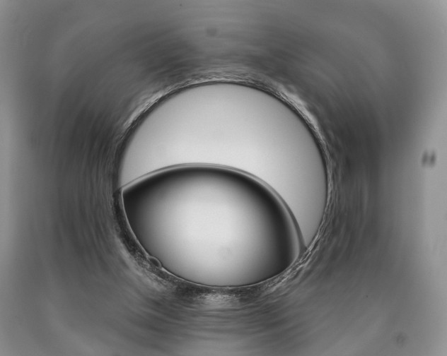 X0000090760154200707201101