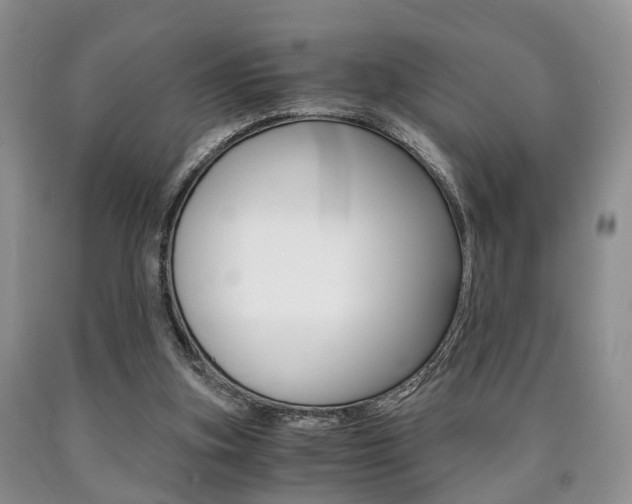X0000090760155200707201101