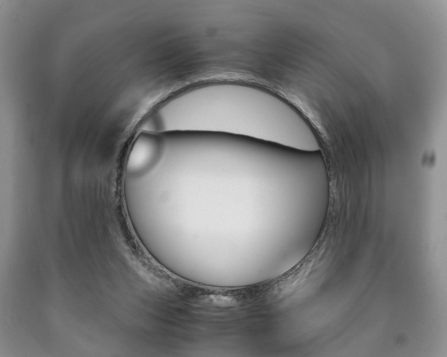 X0000090760159200707201101