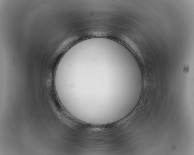 X0000090760163200707201101