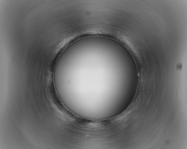X0000090760164200707201101