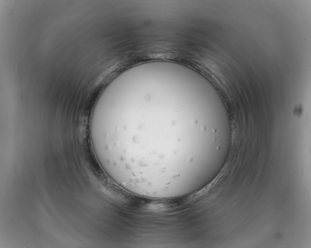 X0000090760171200707201101