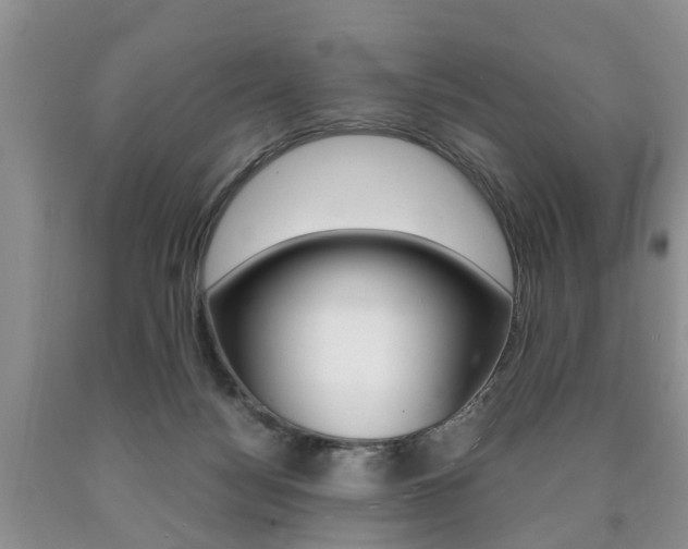 X0000090760172200707201101