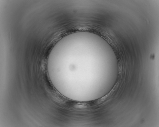 X0000090760175200707201101