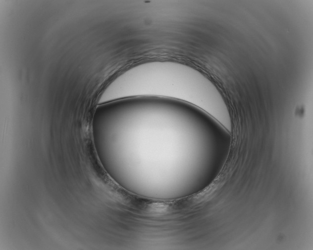X0000090760176200707201101