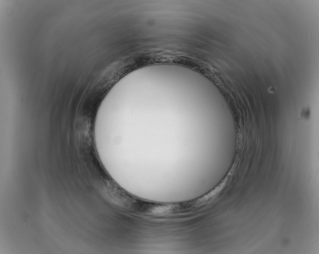 X0000090760178200707201101