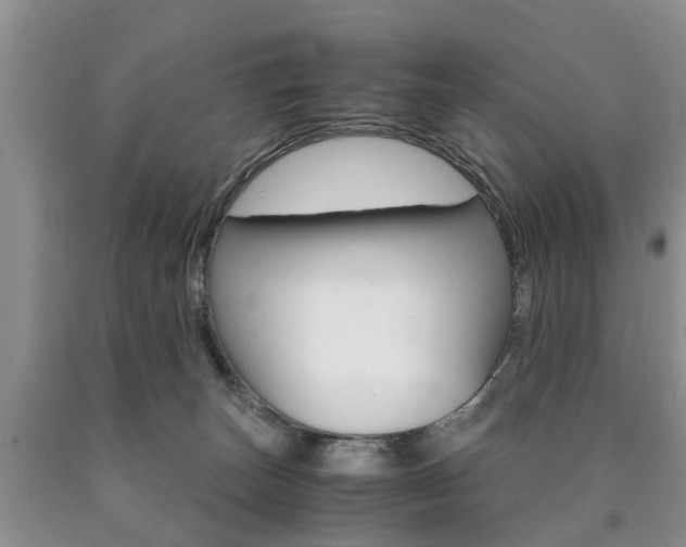X0000090760179200707201101