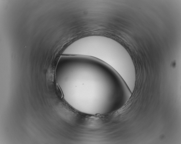X0000090760180200707201101