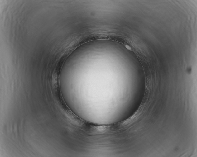 X0000090760184200707201101