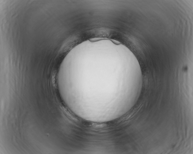 X0000090760185200707201101