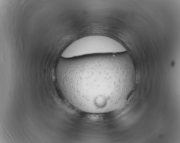 X0000090760187200707201101