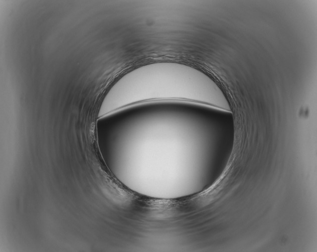 X0000090760192200707201101