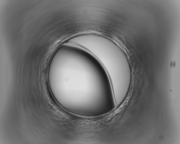 X0000090760193200707201101