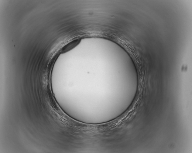 X0000090760194200707201101