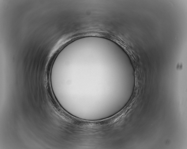 X0000090760198200707201101