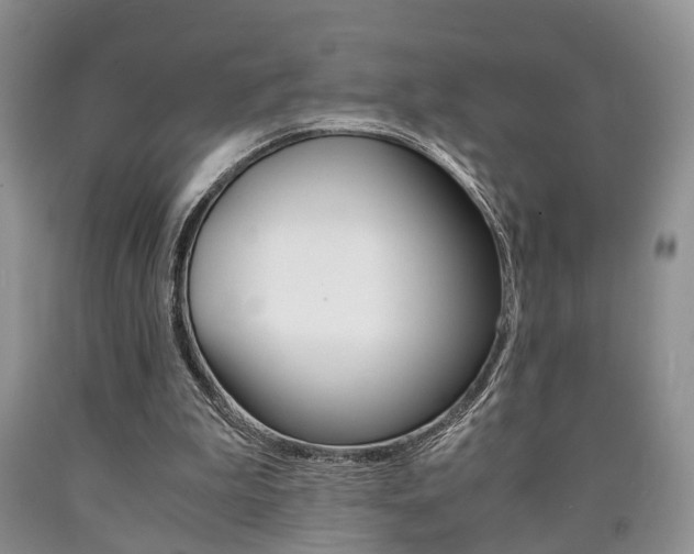 X0000090760199200707201101