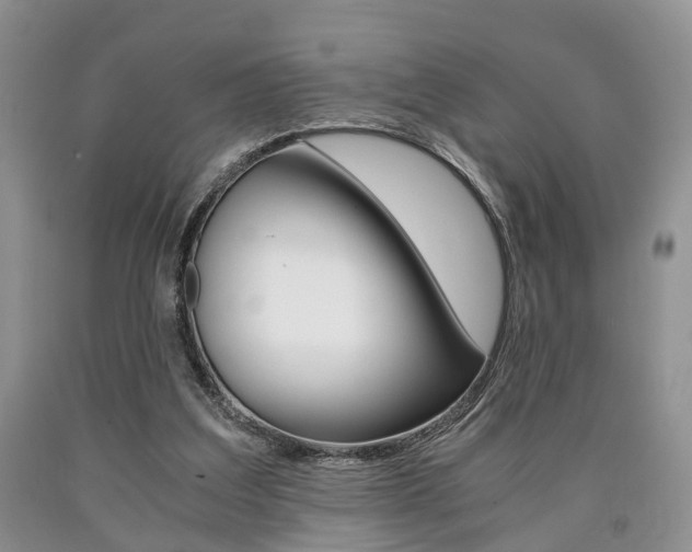 X0000090760203200707201101