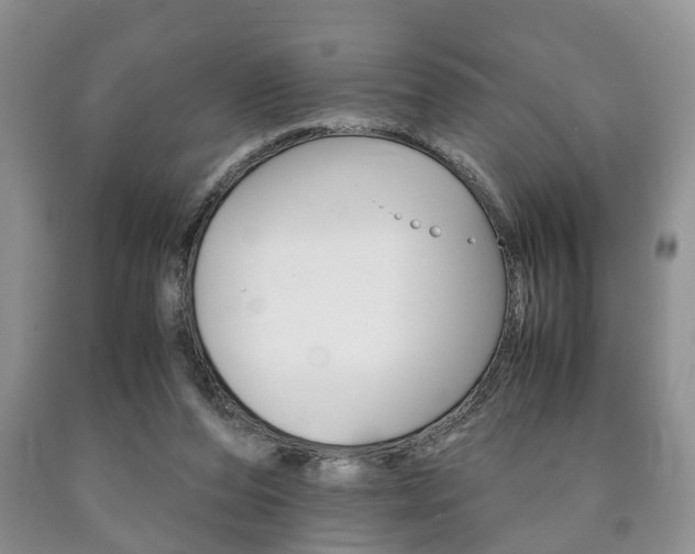 X0000090760208200707201100