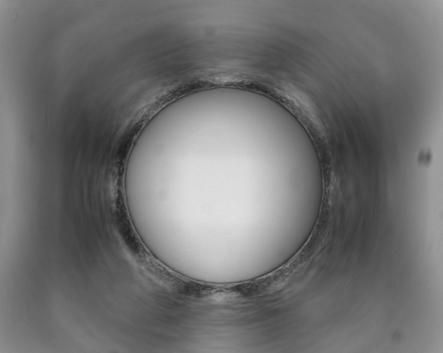 X0000090760210200707201100