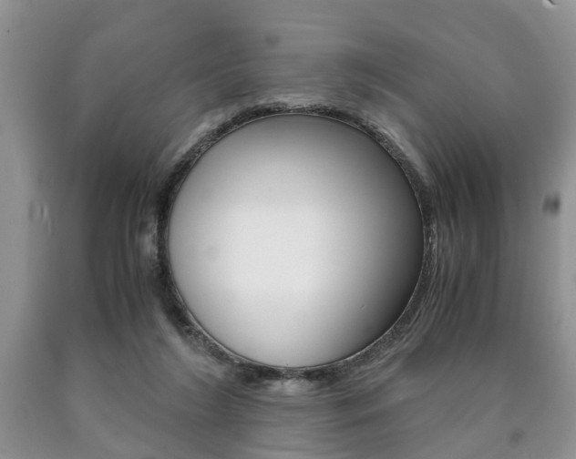 X0000090760212200707201100