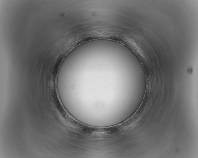 X0000090760213200707201100