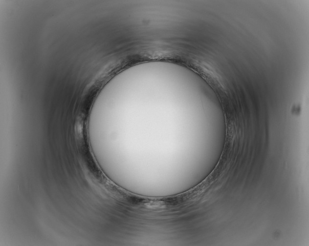 X0000090760214200707201100