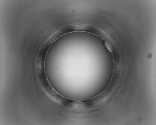 X0000090760215200707201100