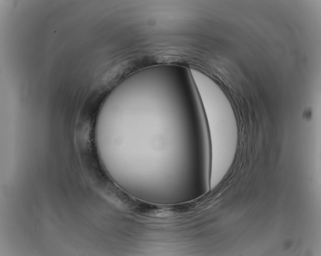 X0000090760219200707201100