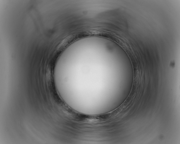 X0000090760220200707201100