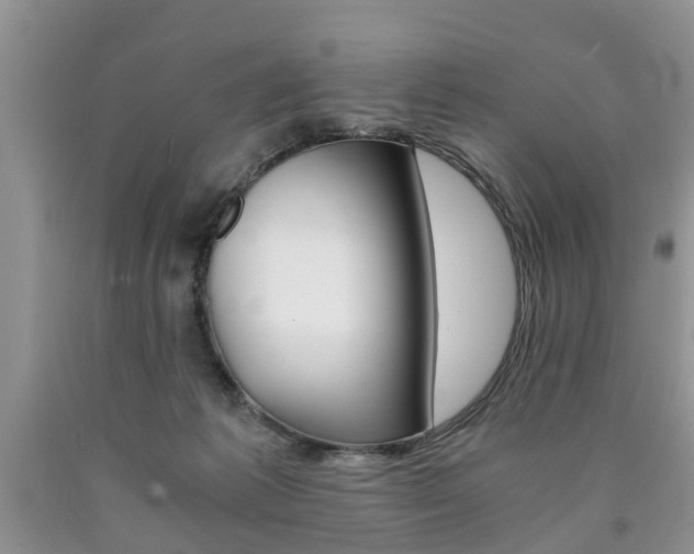 X0000090760221200707201100