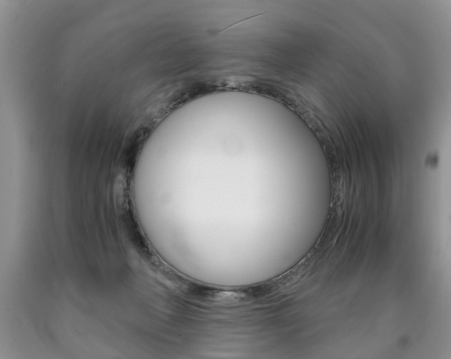 X0000090760222200707201100