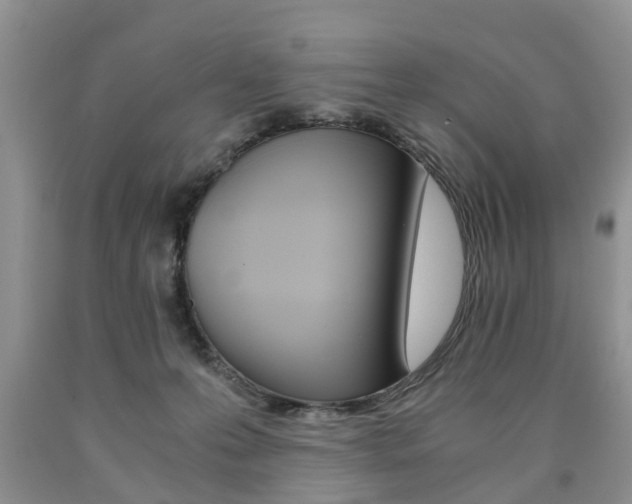 X0000090760223200707201100