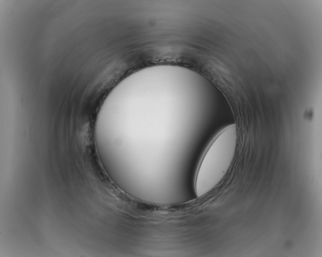 X0000090760224200707201100