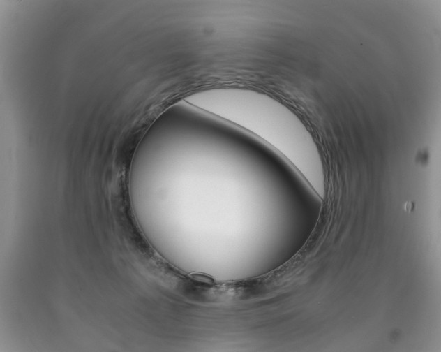 X0000090760225200707201100