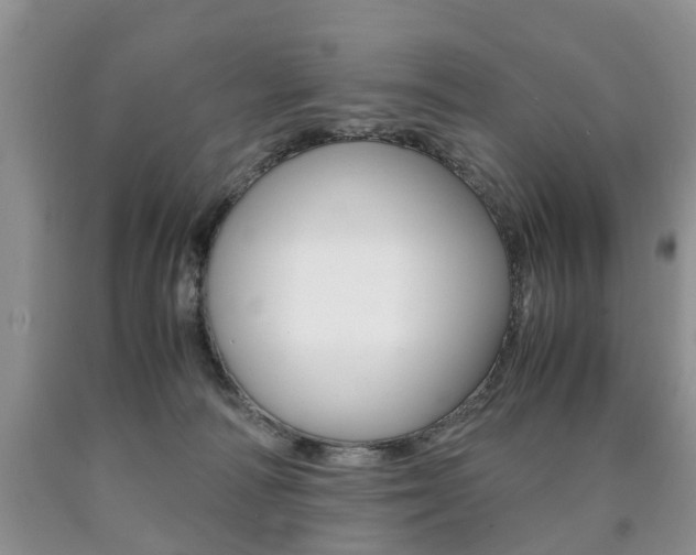X0000090760226200707201100