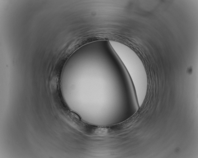 X0000090760227200707201100