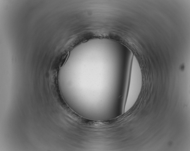 X0000090760229200707201100