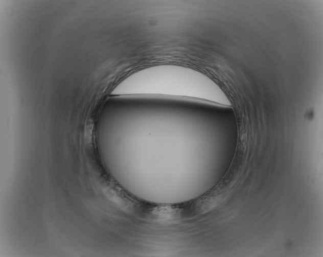 X0000090760231200707201100