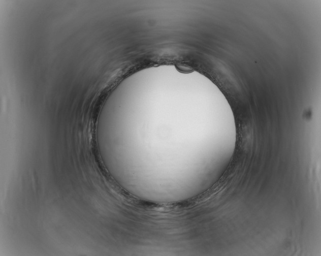 X0000090760232200707201100