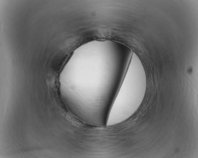 X0000090760233200707201100