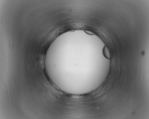 X0000090760234200707201100