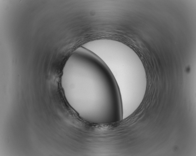 X0000090760235200707201100