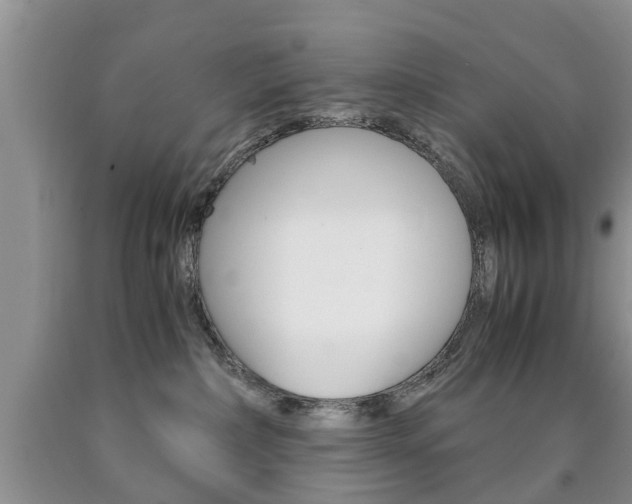 X0000090760236200707201100