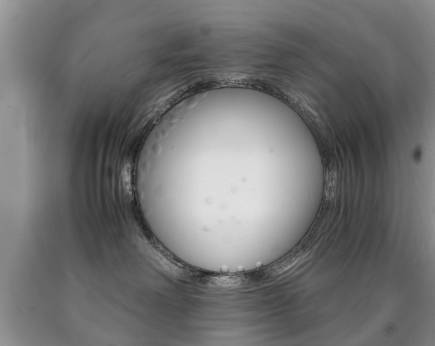 X0000090760238200707201100