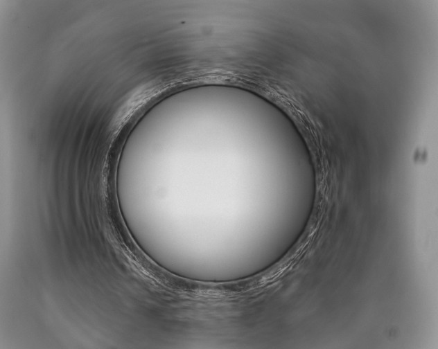X0000090760242200707201059