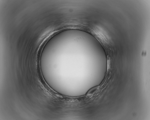 X0000090760243200707201059