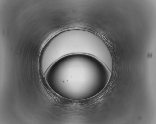 X0000090760244200707201059