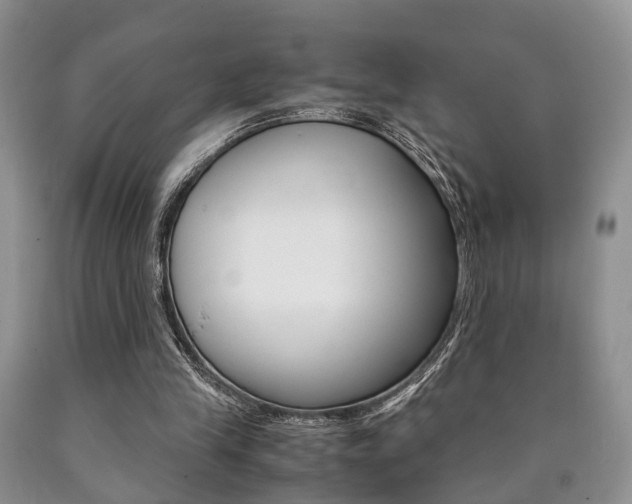 X0000090760245200707201059